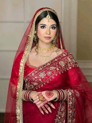 Bridal Weightless Georgette Saree Sequence Embroidery Work এর ছবি