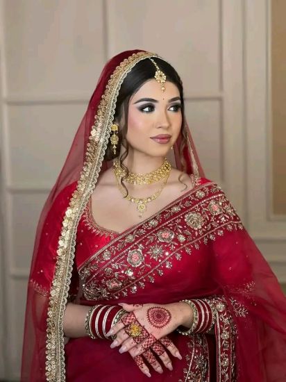 Bridal Weightless Georgette Saree Sequence Embroidery Work এর ছবি